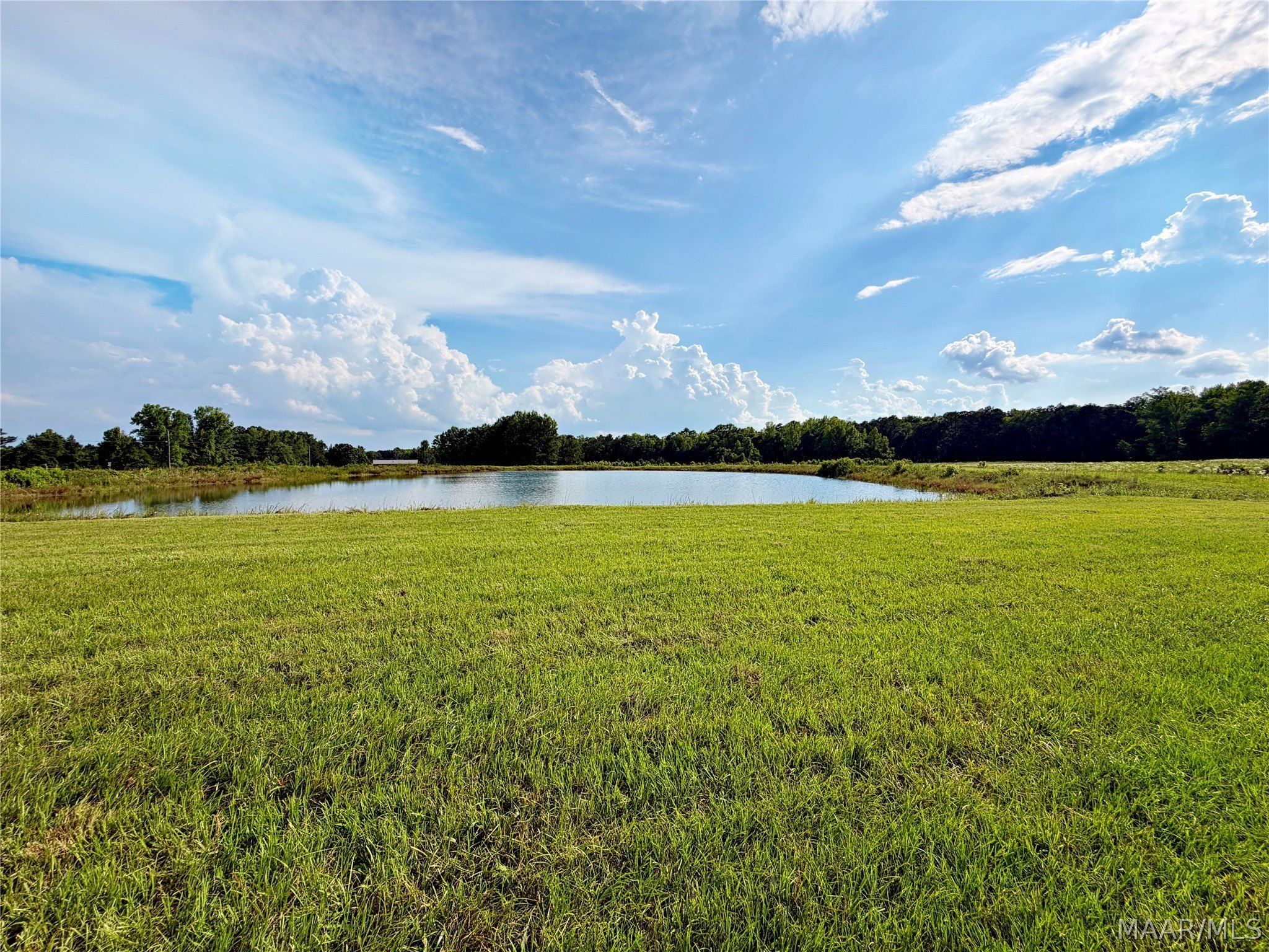 80702 Tallassee Highway. Eclectic, AL 36024