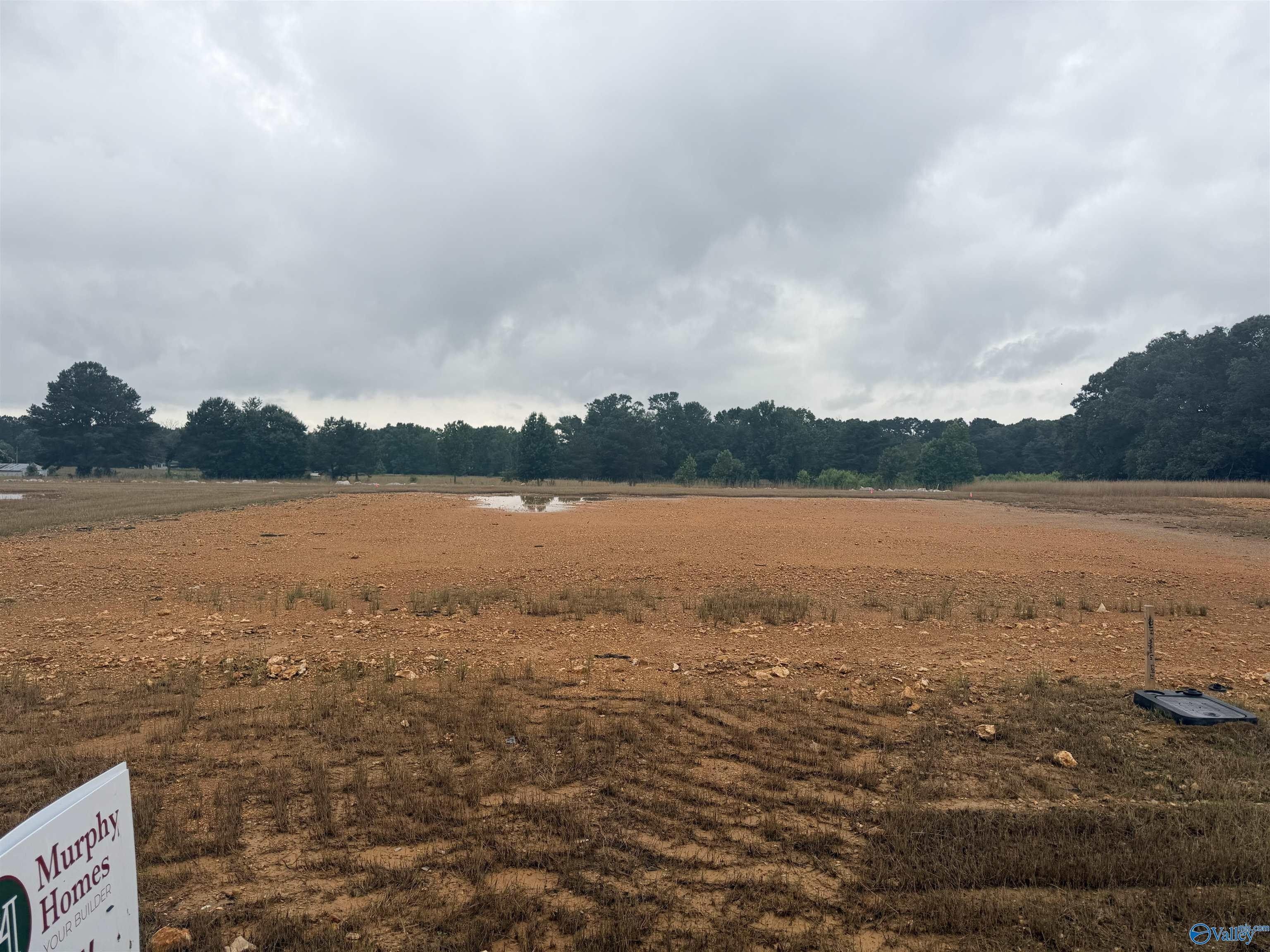 22137 Spyglass Lane. Athens, AL 35613