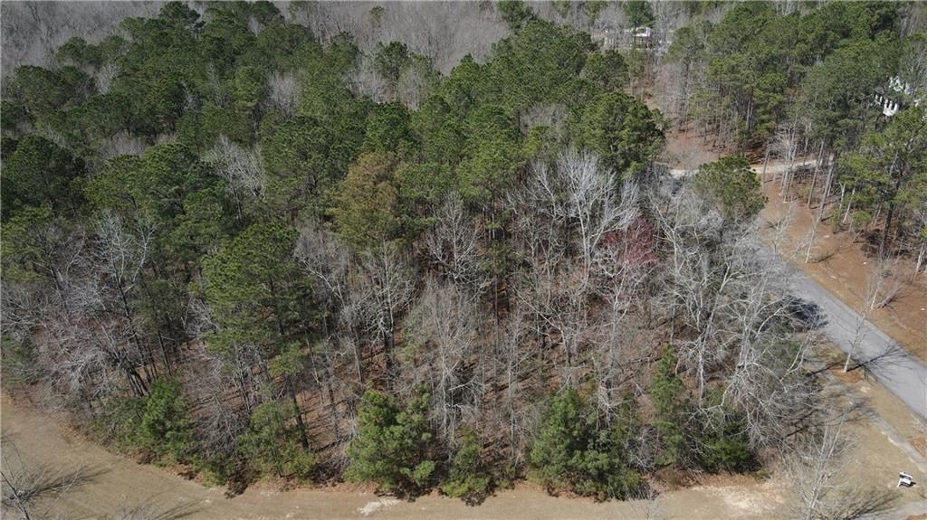 2562 Blackwood Court. Auburn, AL 36830