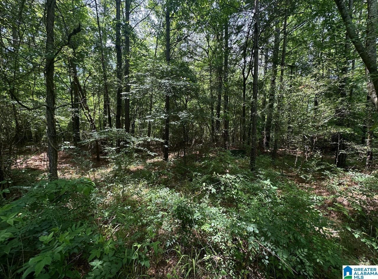 Club House Road. Sylacauga, AL 35150