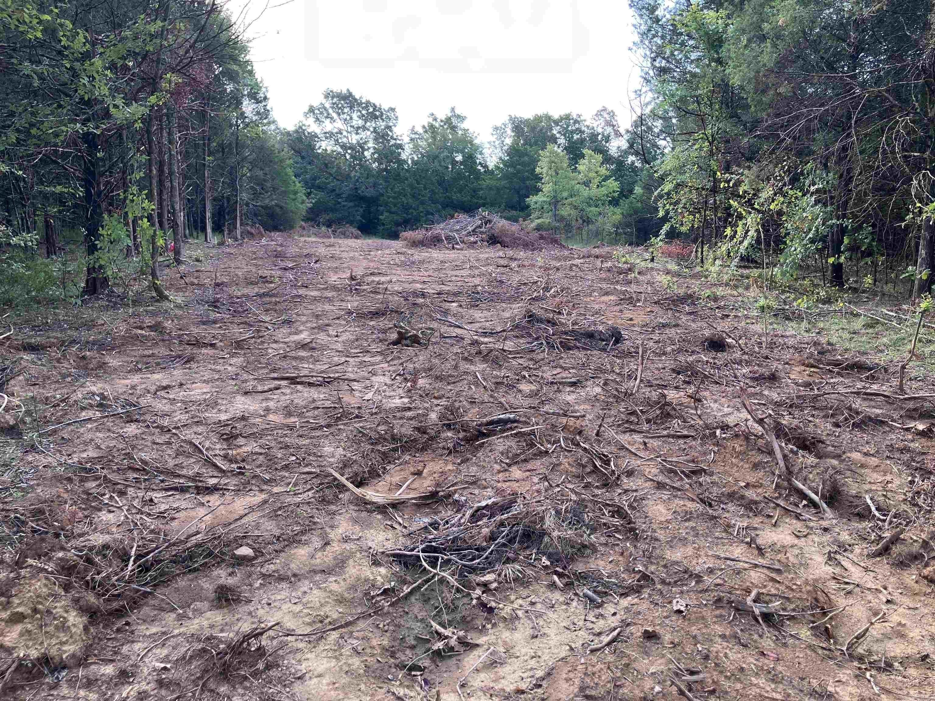 113 Hudson Ridge Road. Bald Knob, AR 72010