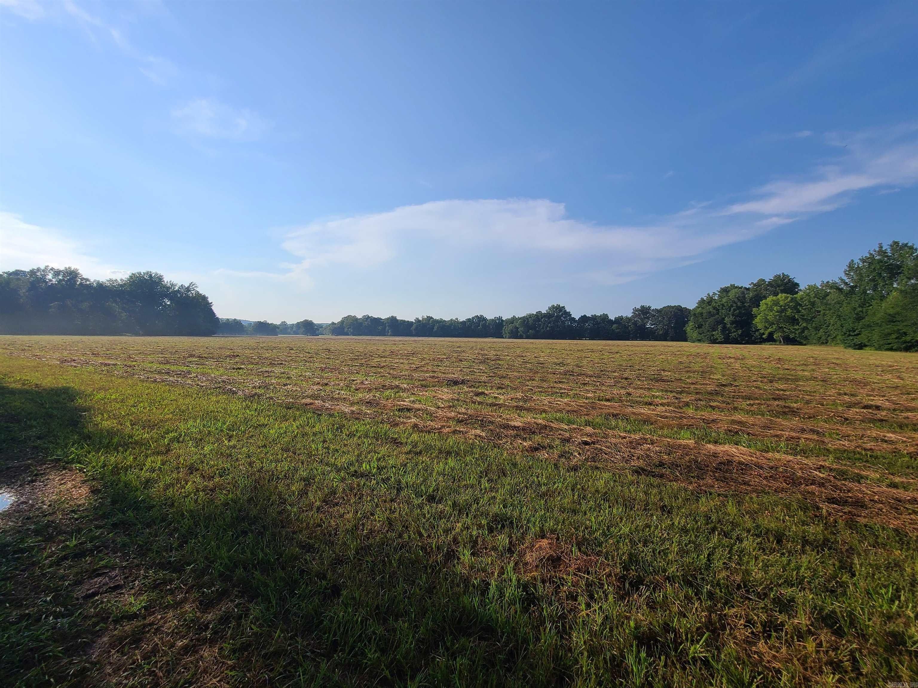 1269 Blackland Road. Oil Trough, AR 72564