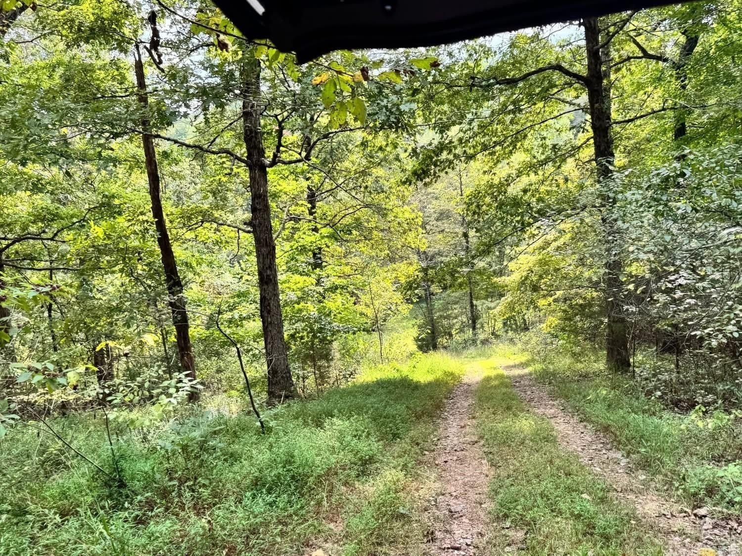 90 Mitchell Road. Batesville, AR 72501