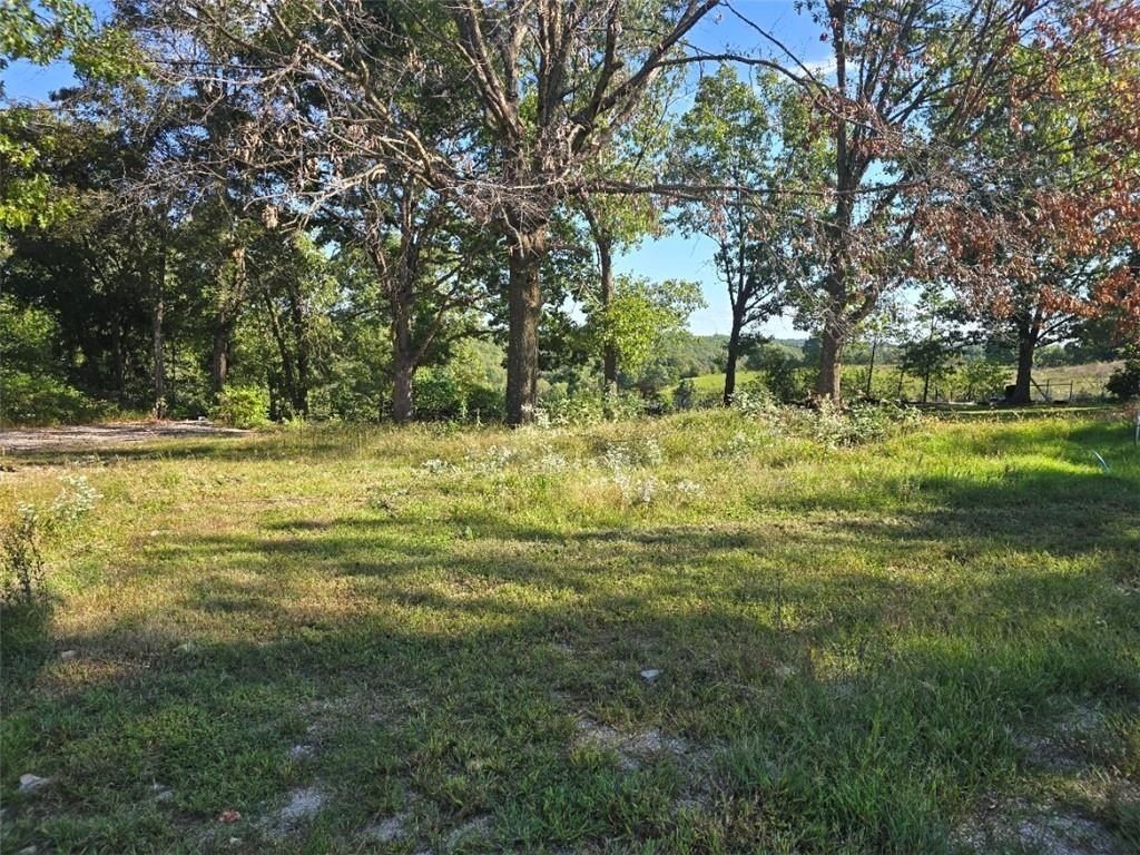 18552  W Boat Dock  Rd. Omaha, AR 72662