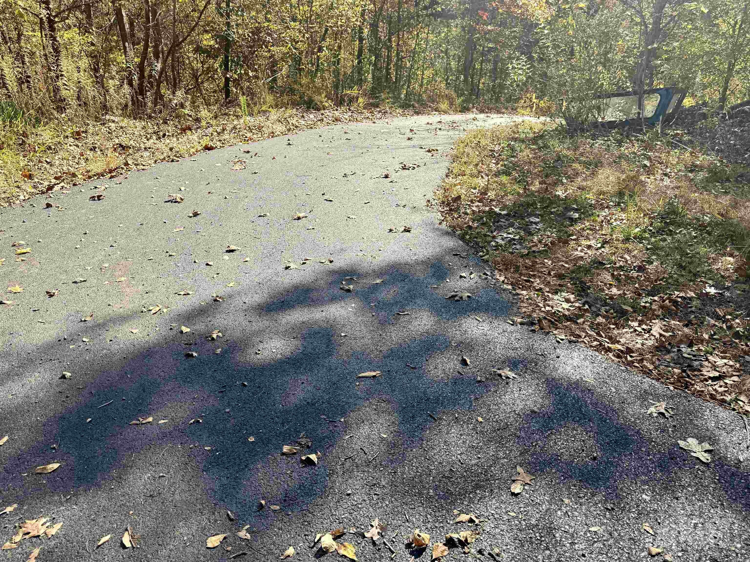 618 Martin Creek Road. Williford, AR 72482