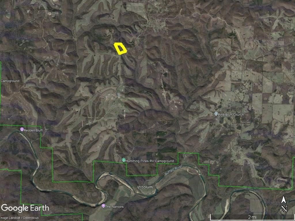 4191  N Woolum  Rd. Pindall, AR 72669