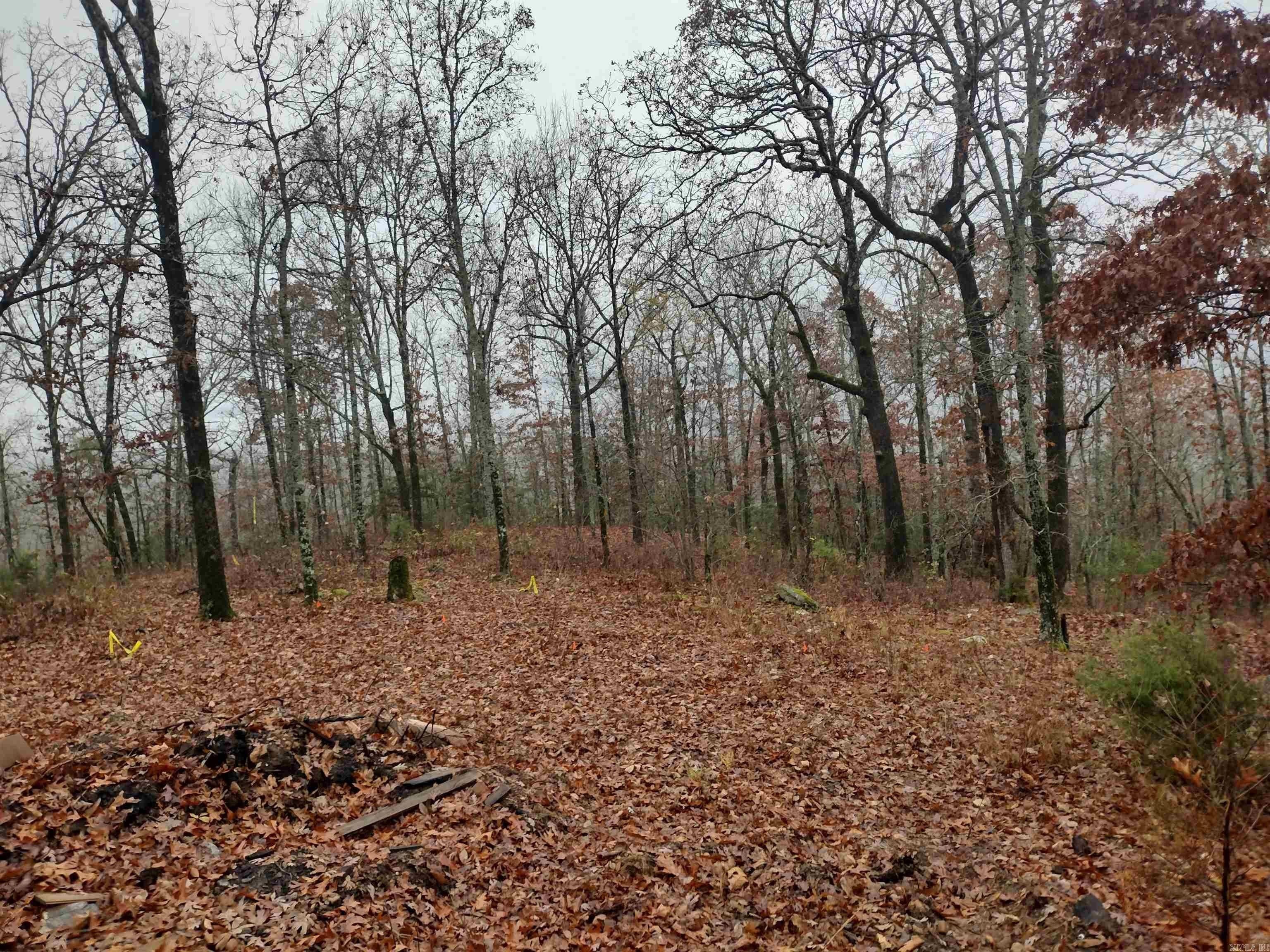 285 Rippling Shoals Ln. Melbourne, AR 72556