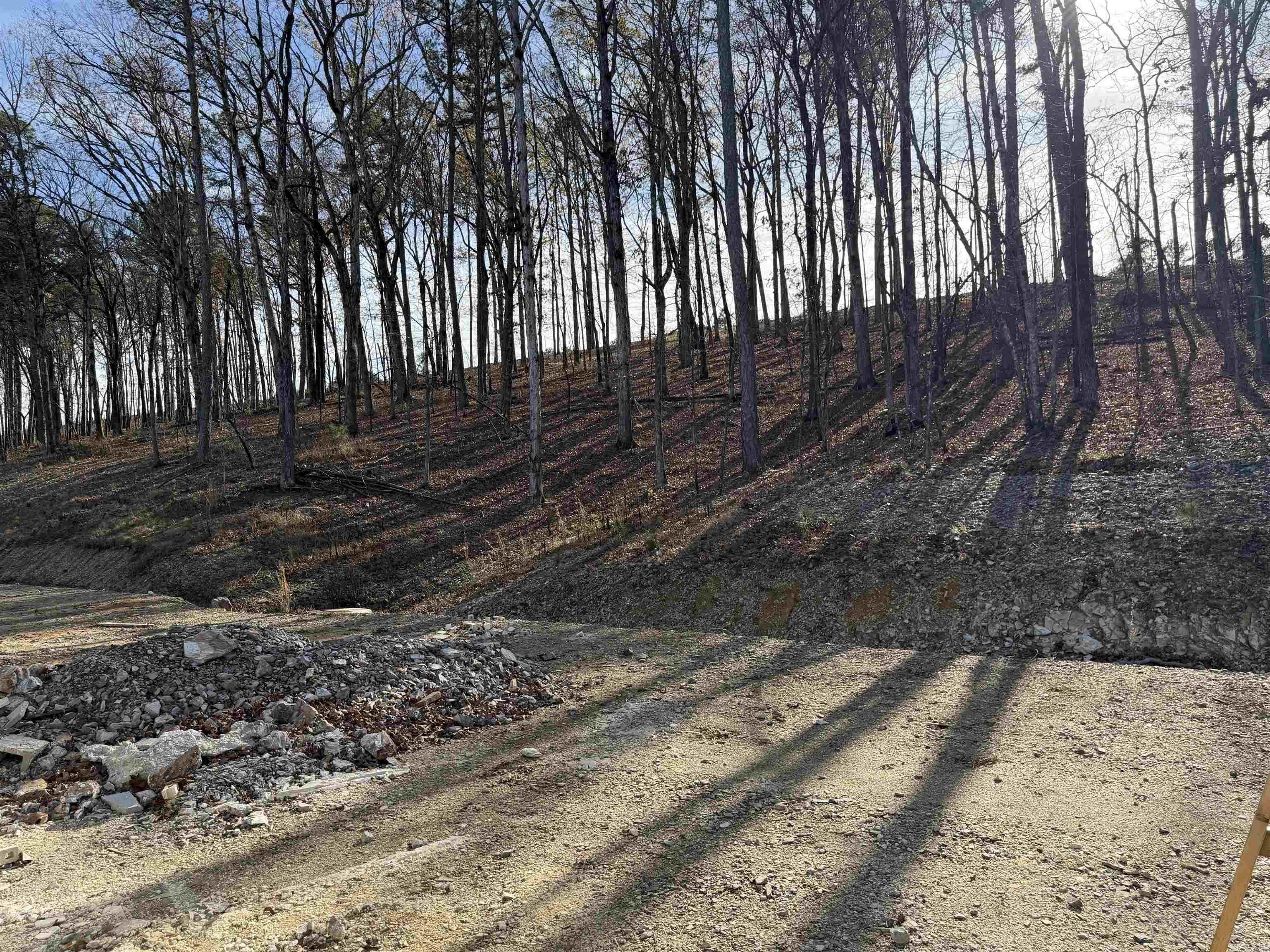 139 Kinley Loop. Little Rock, AR 72223