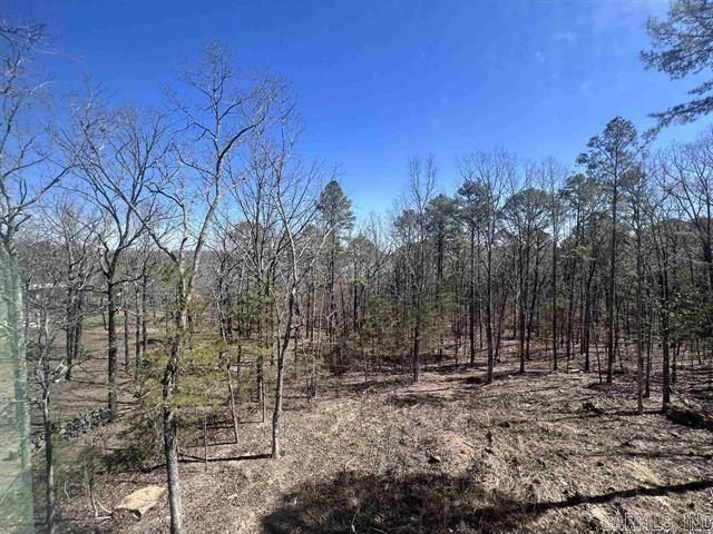 660 Mill Creek Road. Higden, AR 72067