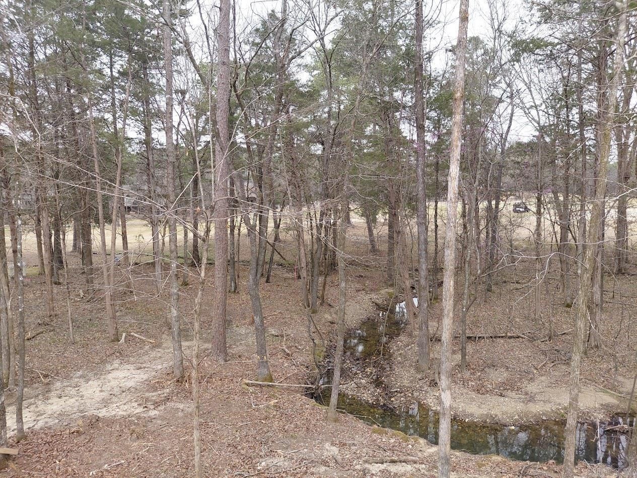 7 Sergio Way. Hot Springs Village, AR 71909