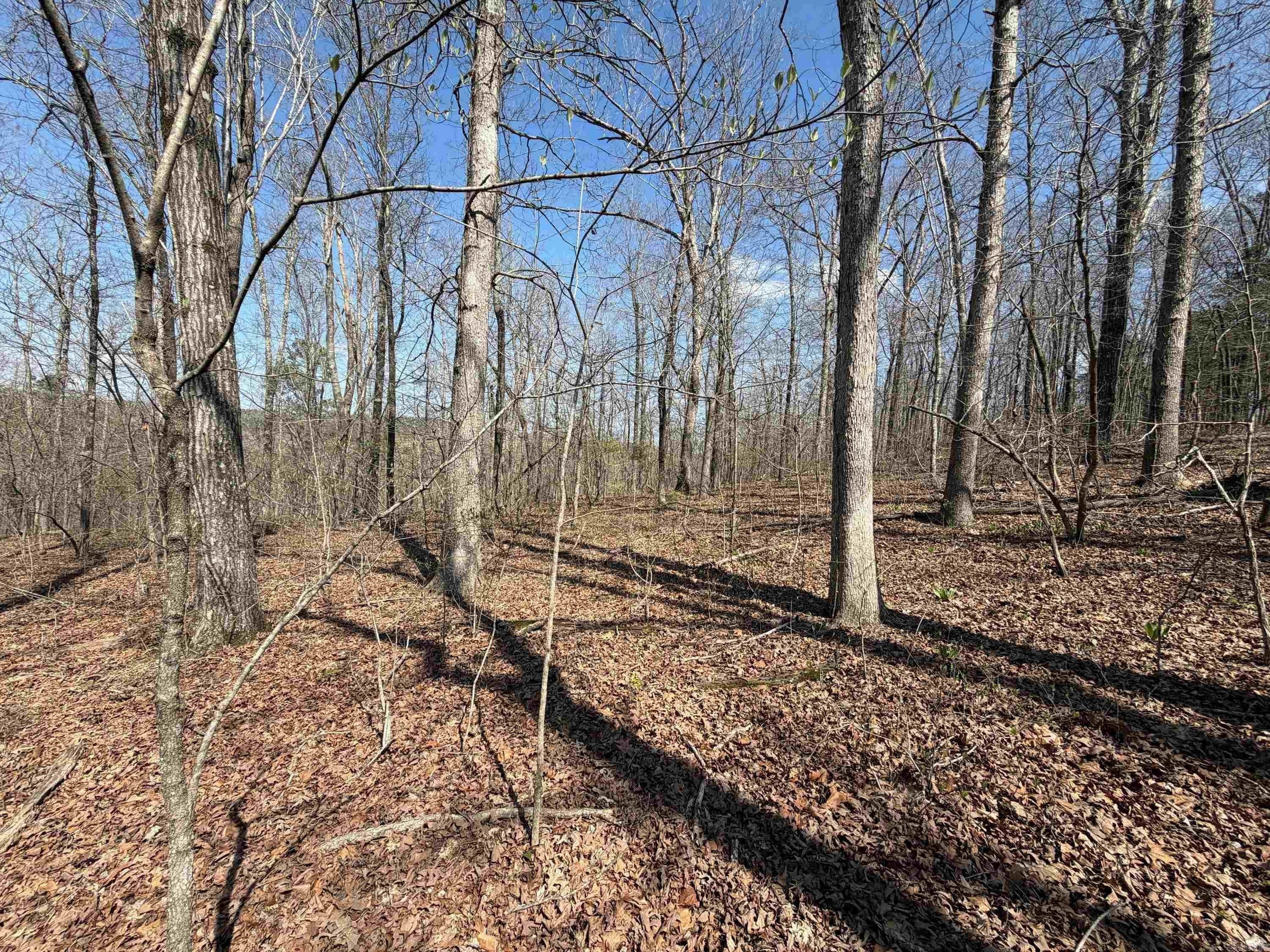 7473 Meadow Creek Rd. Fox, AR 72051