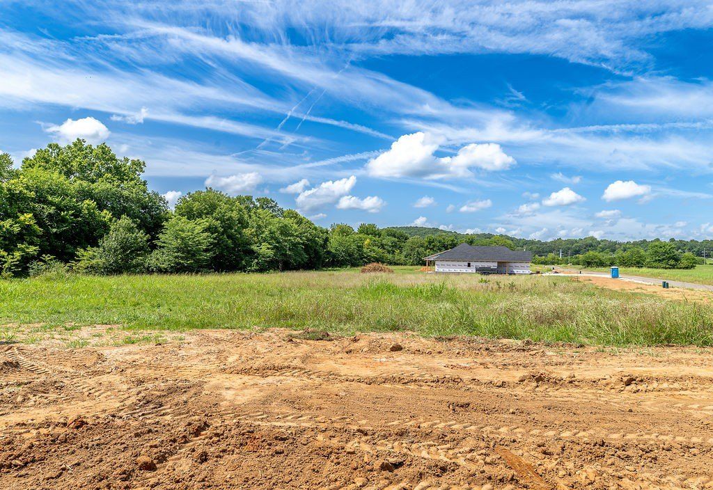 295 Oak Knoll Drive. Fayetteville, AR 72701