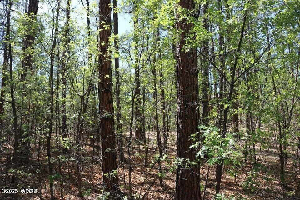 1140 S Waterway Lane. Show Low, AZ 85901