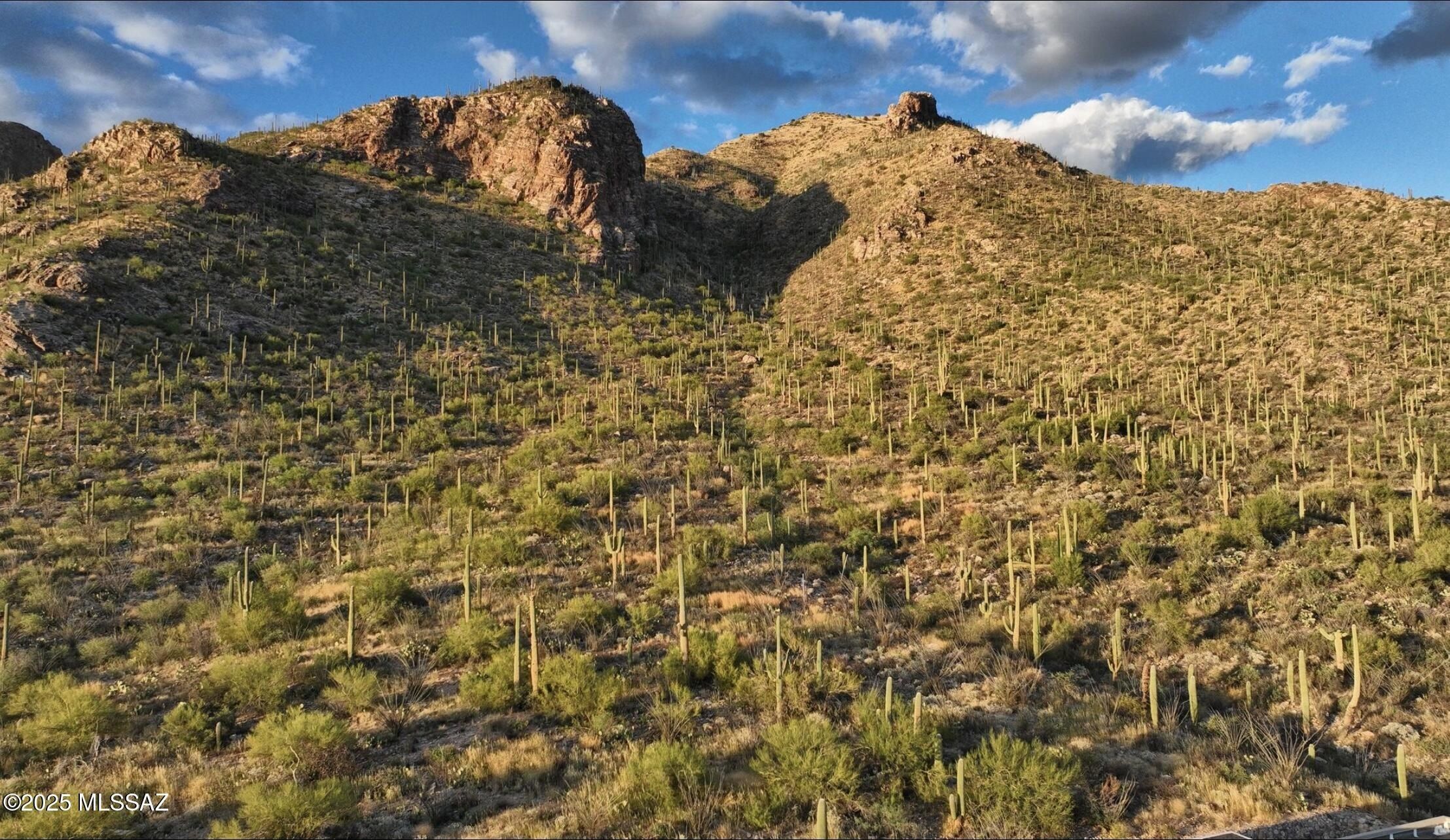 1779 E Barrell Cactus Court. Tucson, AZ 85718