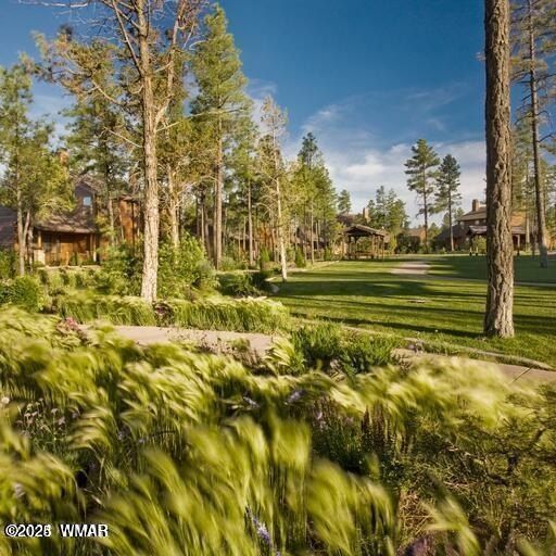 1301 Lakeside Trail Unit Tl2 Lot 33. Show Low, AZ 85901