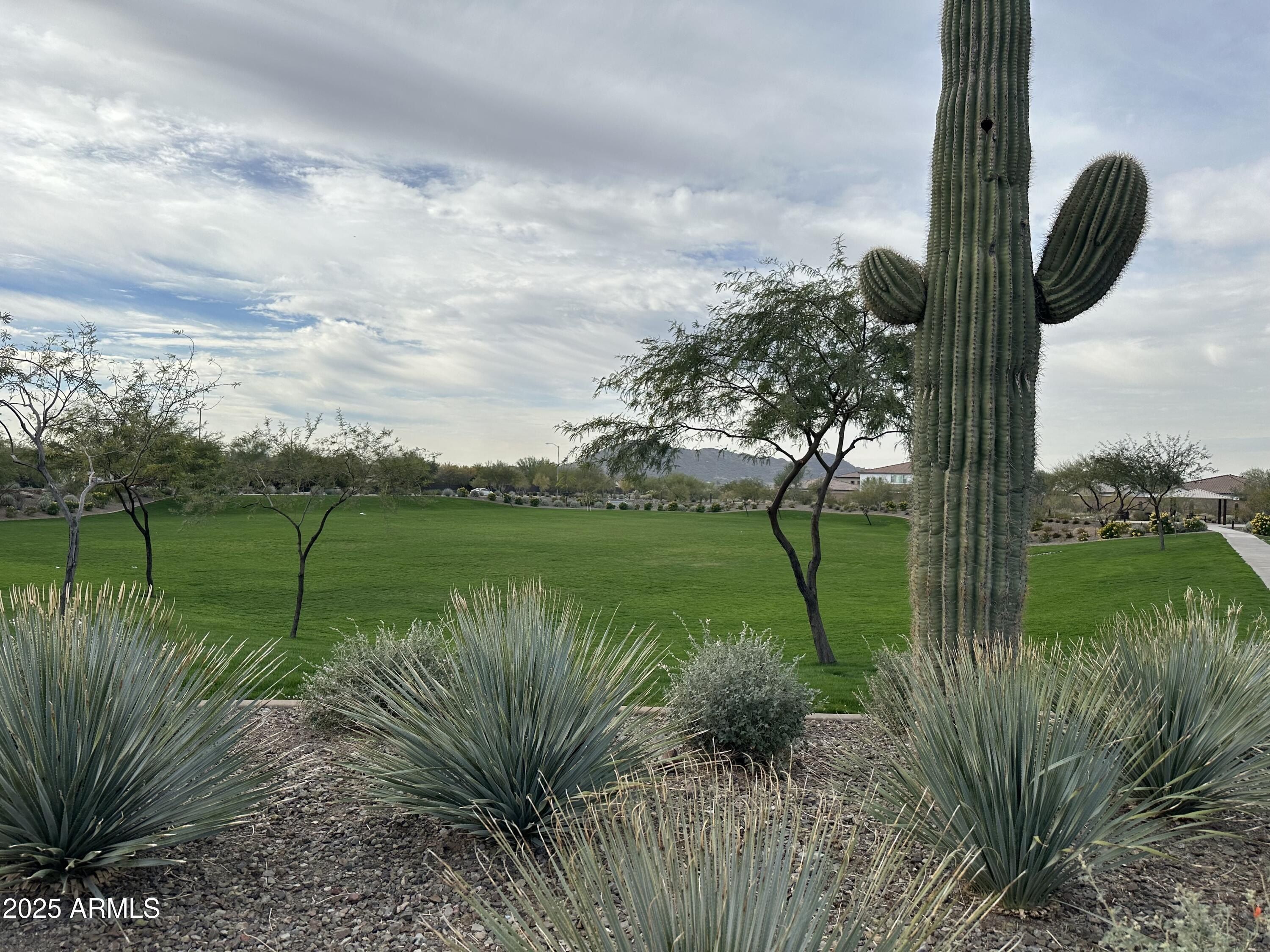 25393 N 75Th Lane. Peoria, AZ 85383
