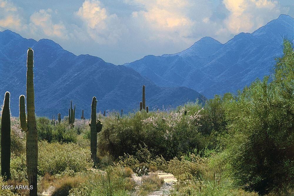 17311 W Desert Sage Drive. Goodyear, AZ 85338