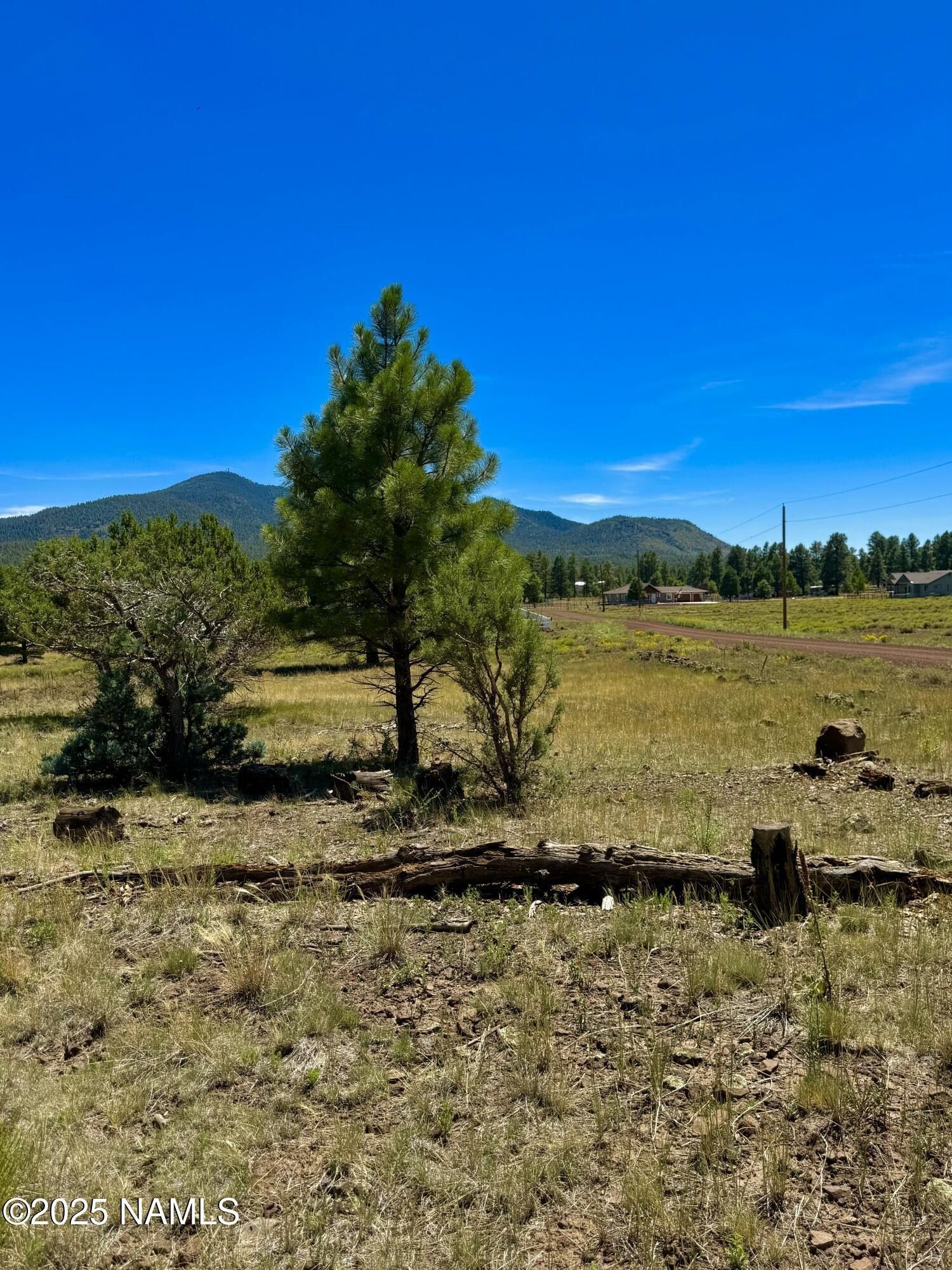 210 N Stoneman Boulevard. Williams, AZ 86046