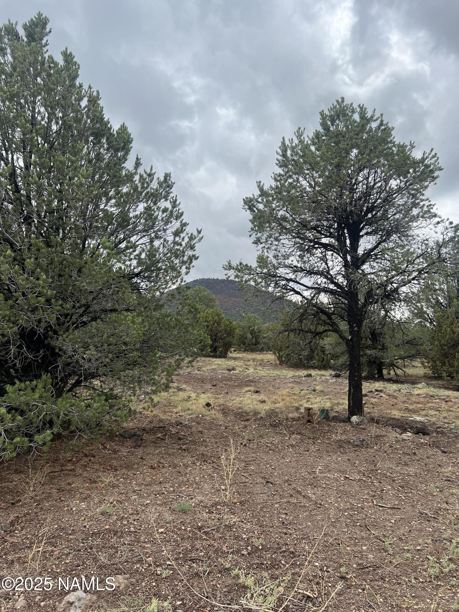 1269 E Tamarack Street. Williams, AZ 86046