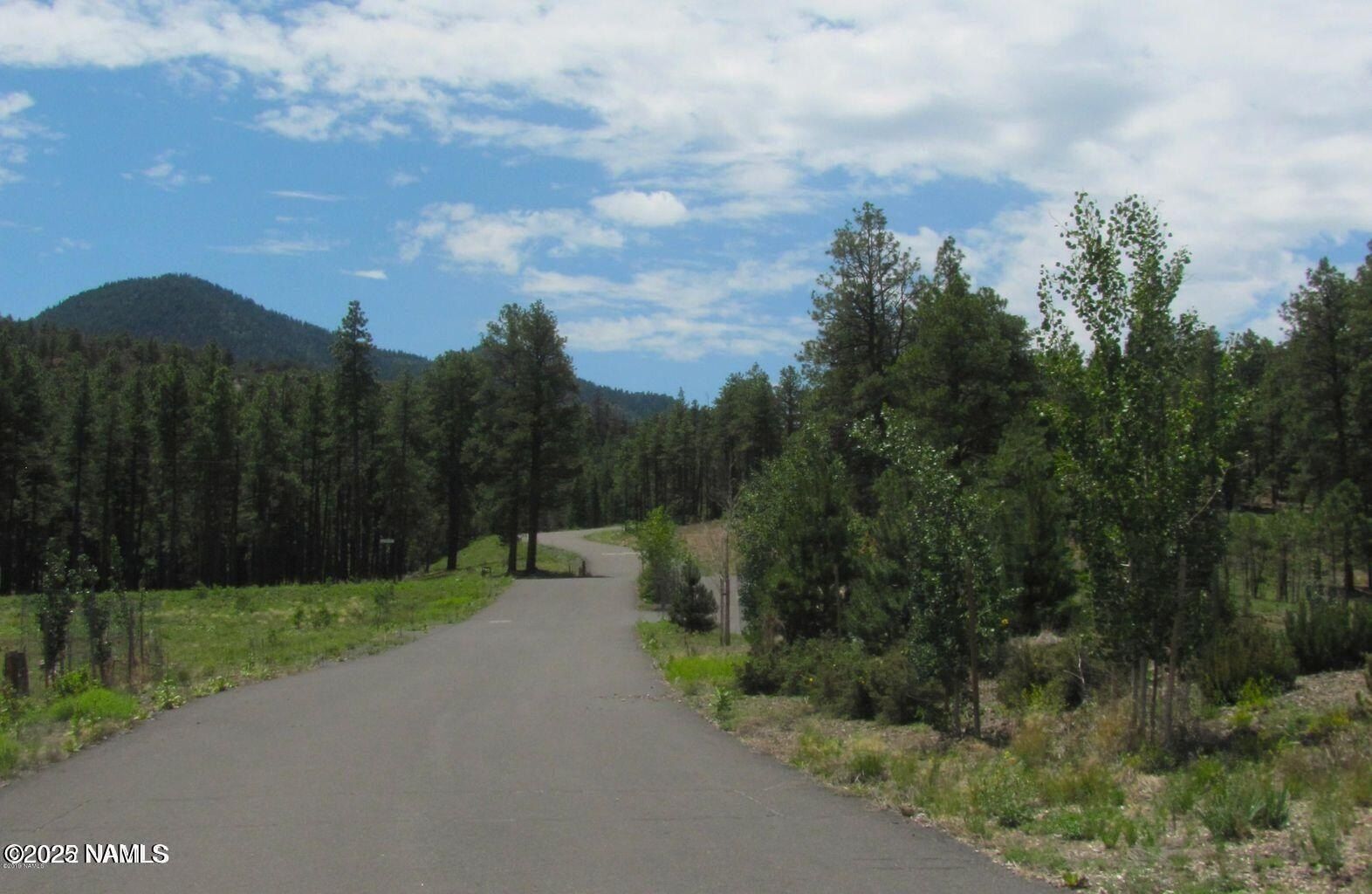 1039 Timbernook. Williams, AZ 86046