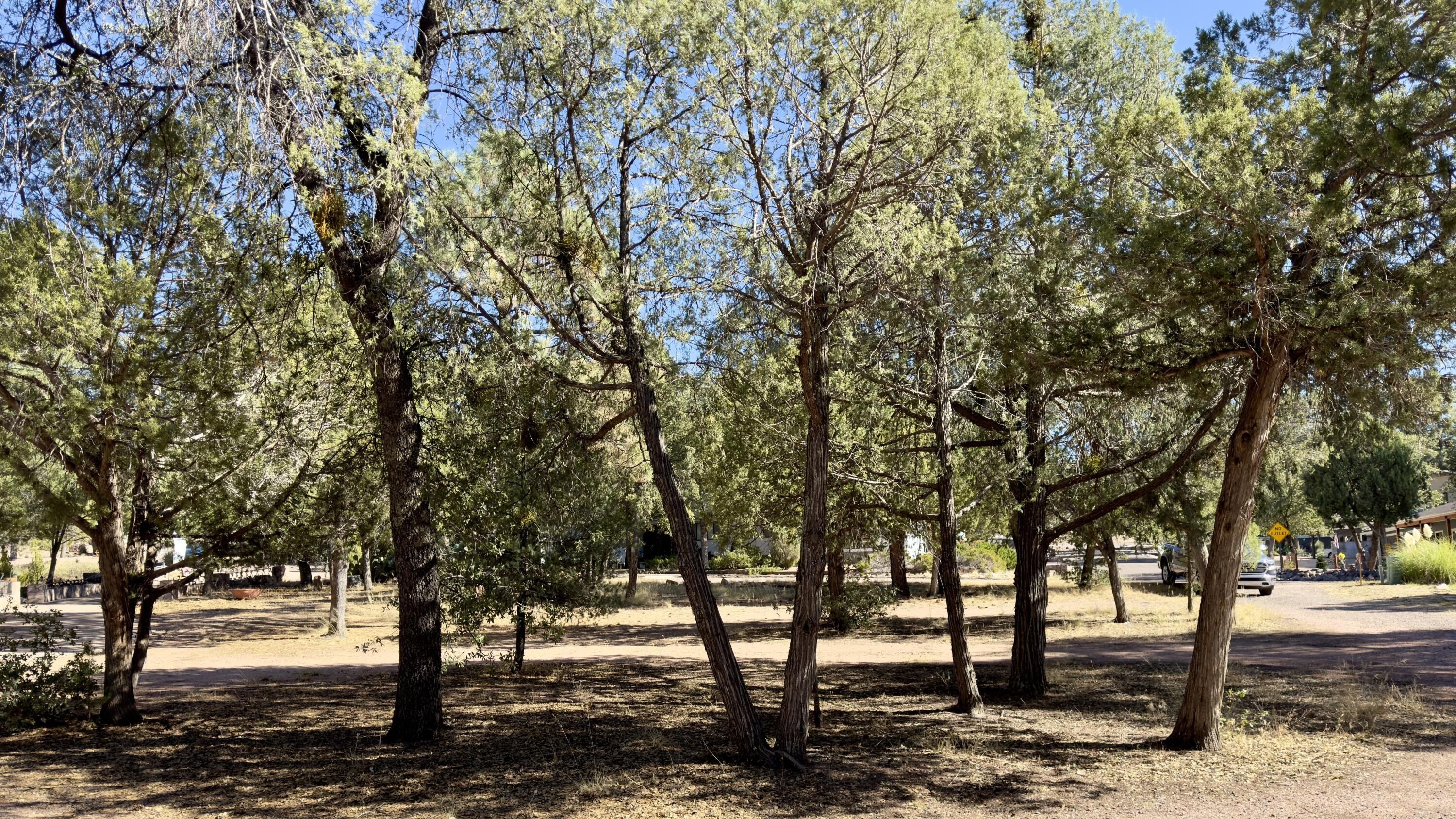 1428 N Easy Street. Payson, AZ 85541