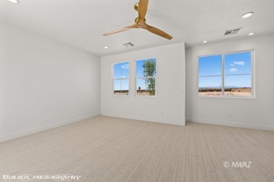 242 S Josie Ann Way. Littlefield, AZ 86432