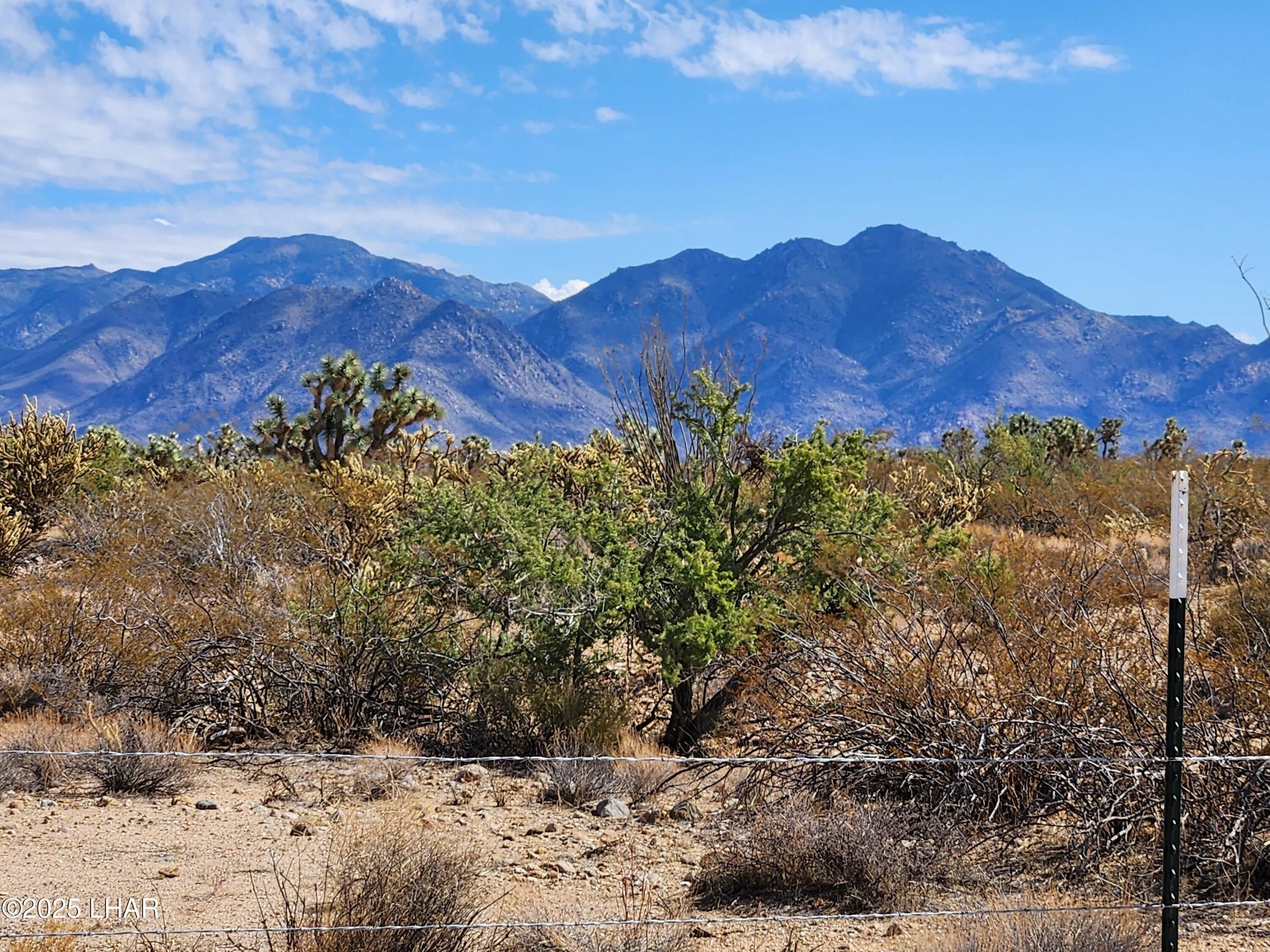 14176 S Nash Dr. Yucca, AZ 86438