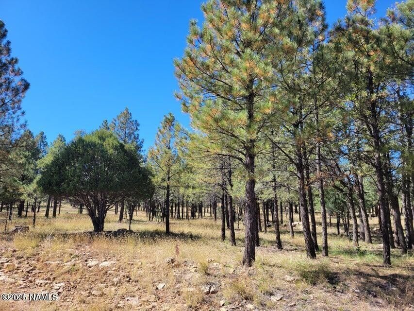 2522 Pinon Circle. Happy Jack, AZ 86024