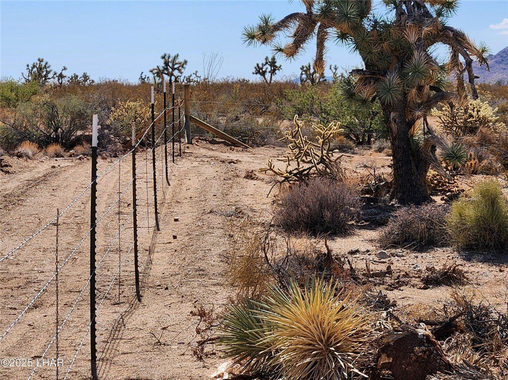 14167 S Nash Drive Unit 1330. Yucca, AZ 86438