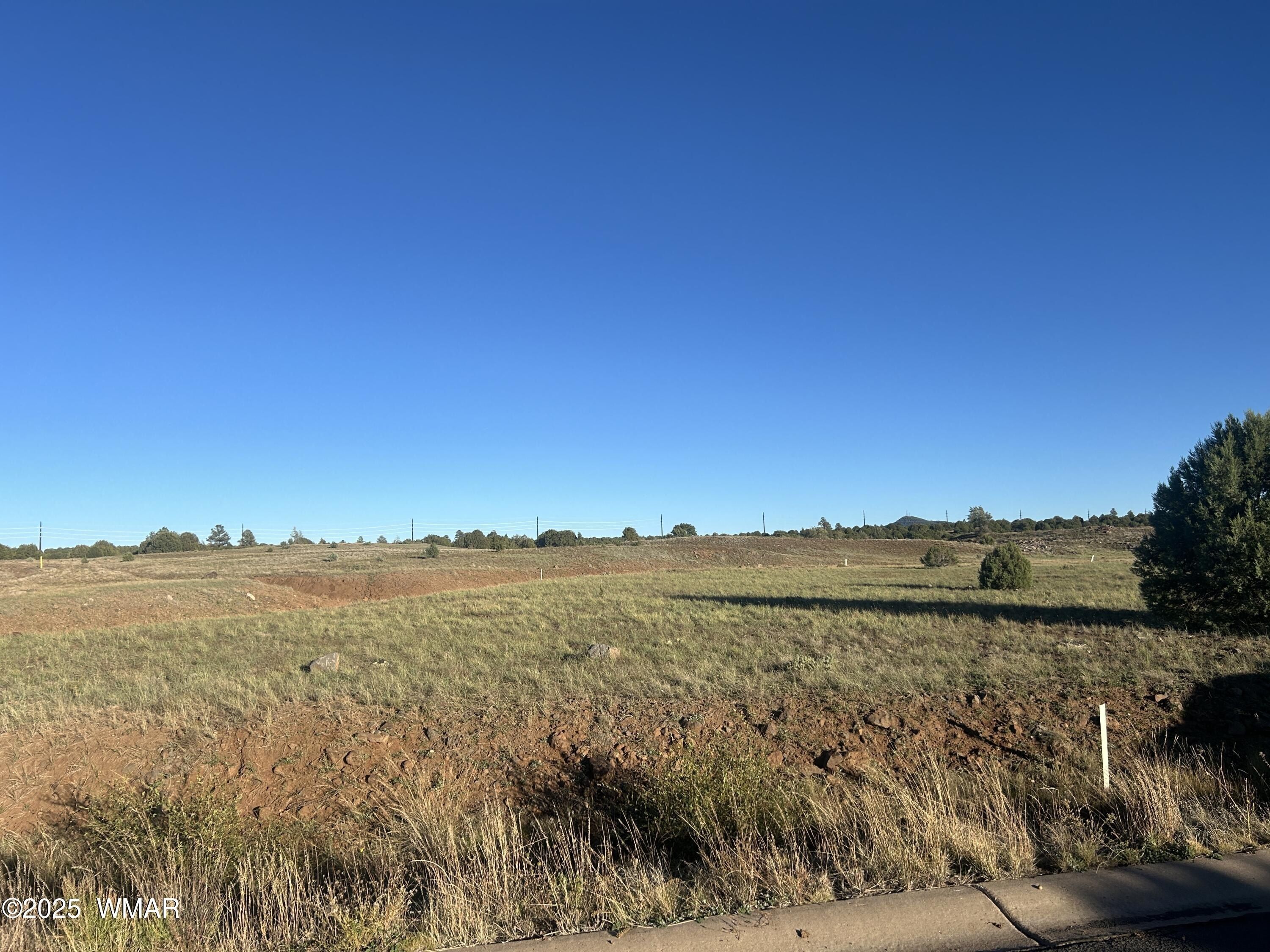 1081 S Ridgeway Drive. Show Low, AZ 85901