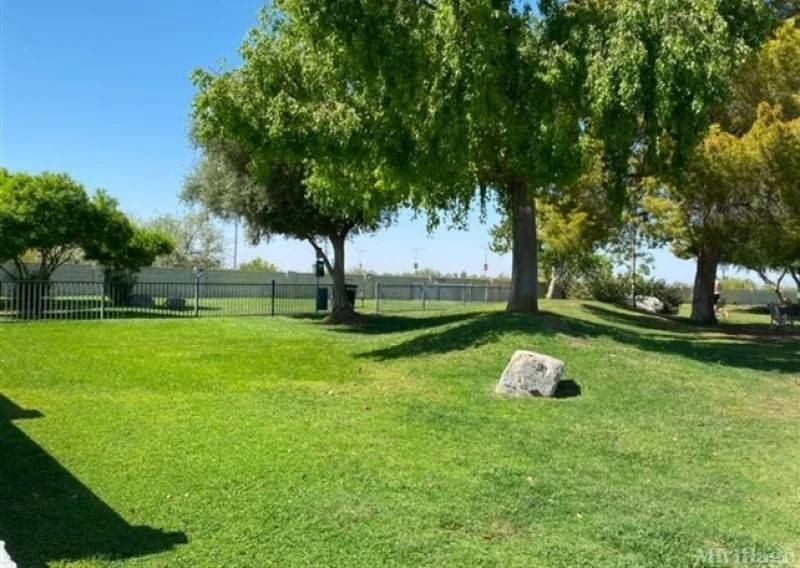 11596 W Sierra Dawn Blvd 224. Surprise, AZ 85378