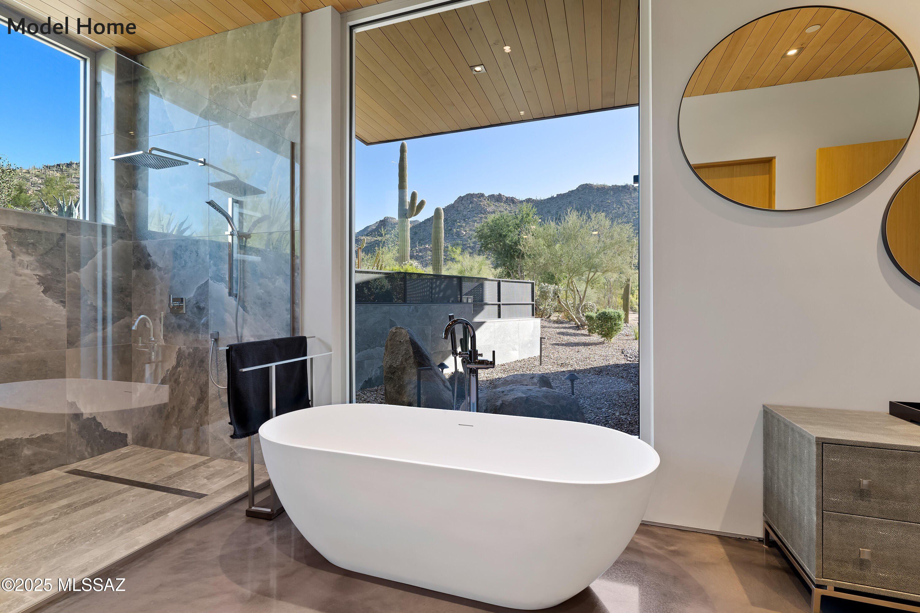 14256 N Silent Sky Place. Marana, AZ 85658