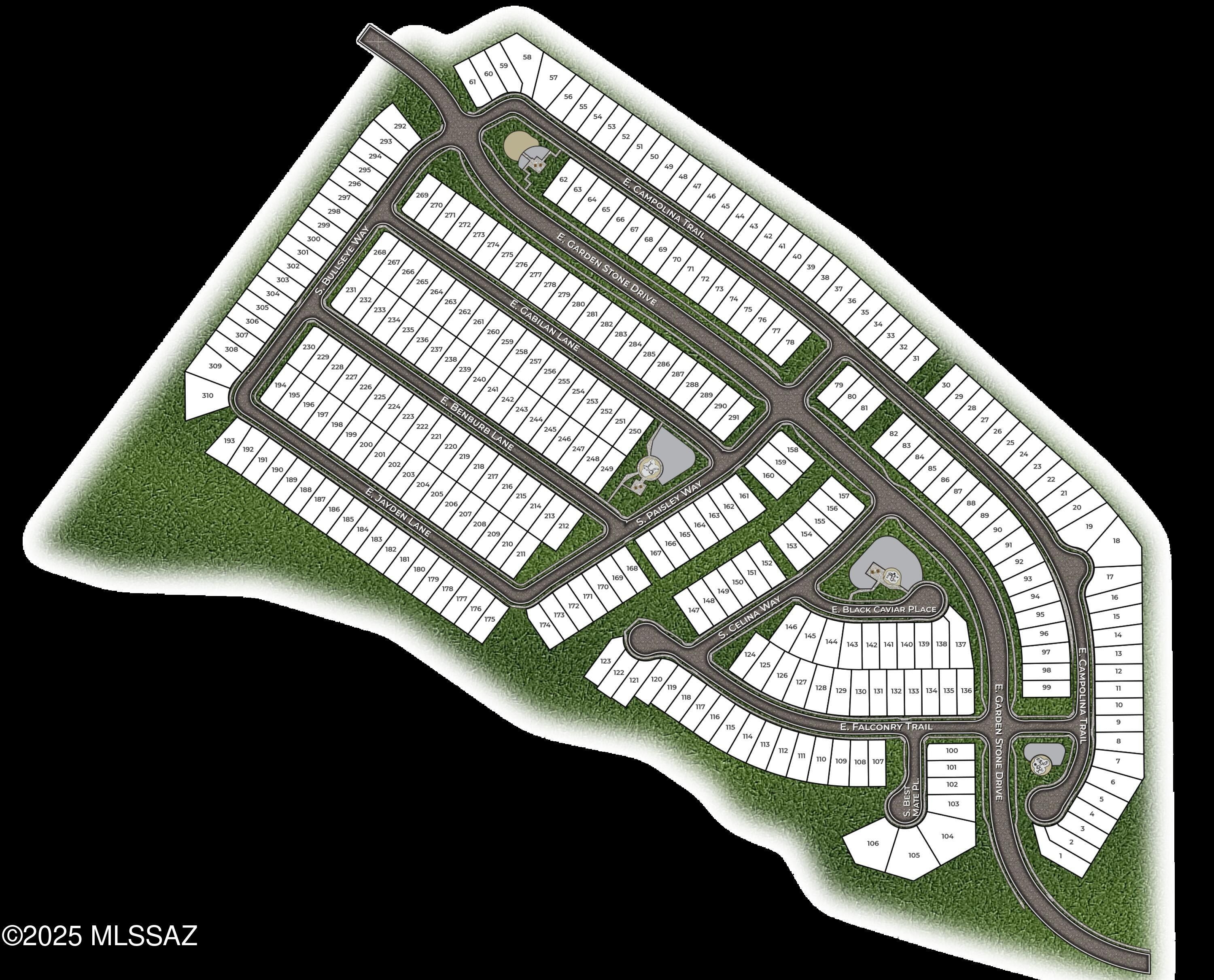 6172 E Campolina Trail. Tucson, AZ 85756