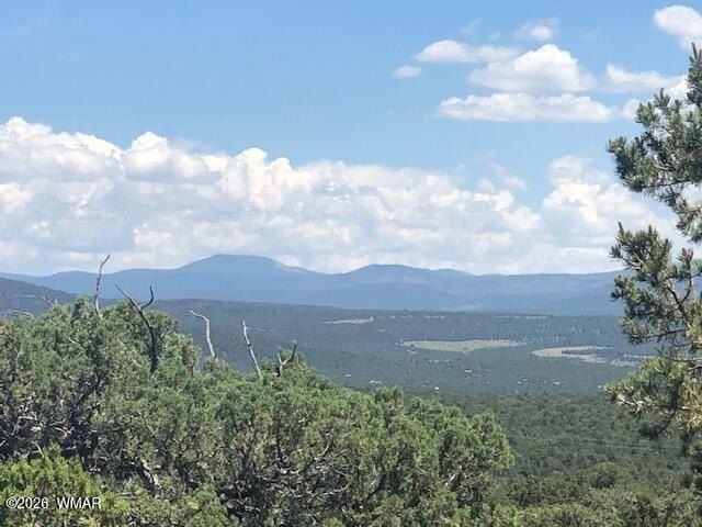 Mountain Pine Road Lot 20. Vernon, AZ 85940