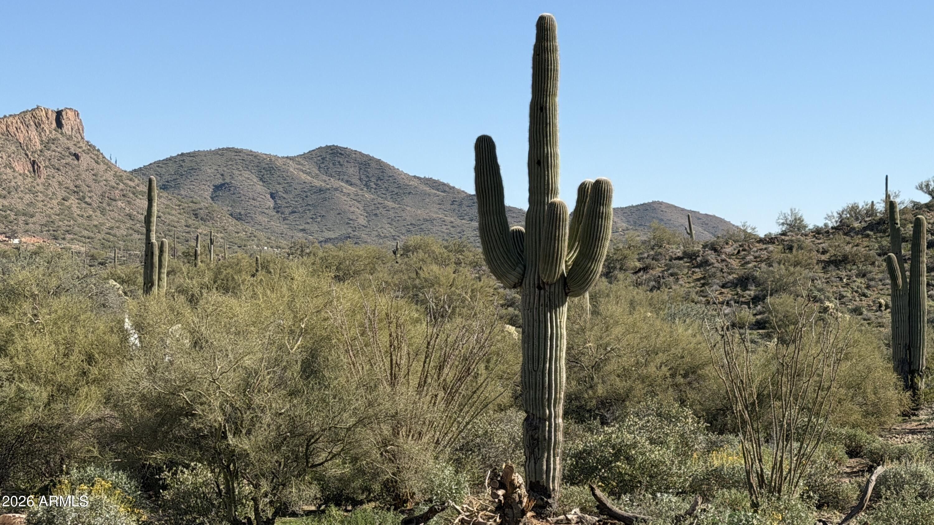 131 W Bingham Drive. New River, AZ 85087