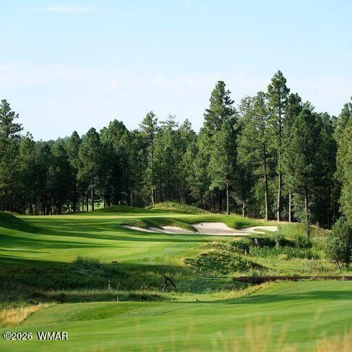 2341 W Pinegrass Road. Show Low, AZ 85901