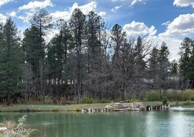 2480 W Edgewater. Show Low, AZ 85901