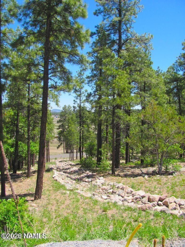 1039 Timbernook. Williams, AZ 86046