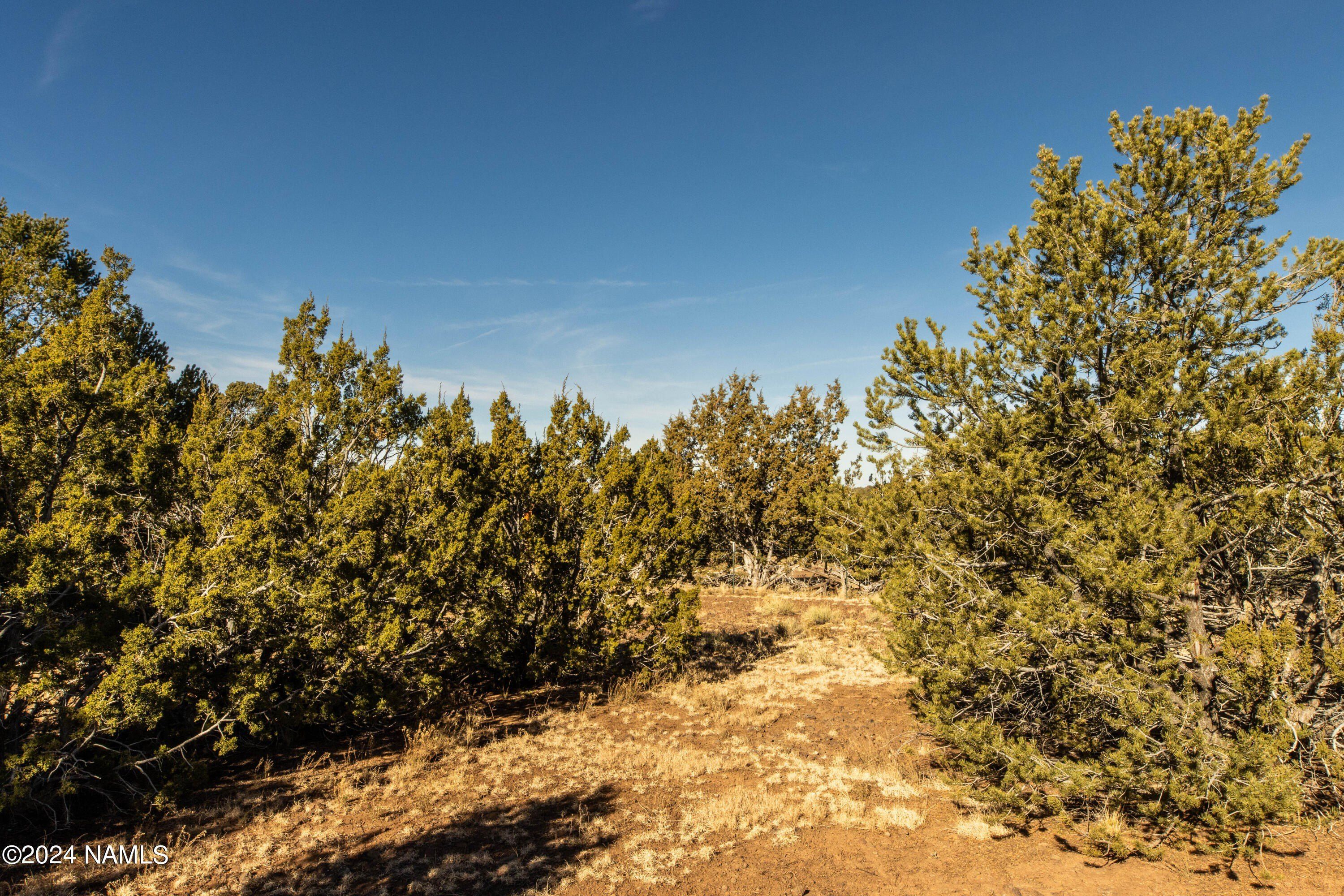 10443 N Covey Lane Lot 22. Williams, AZ 86046