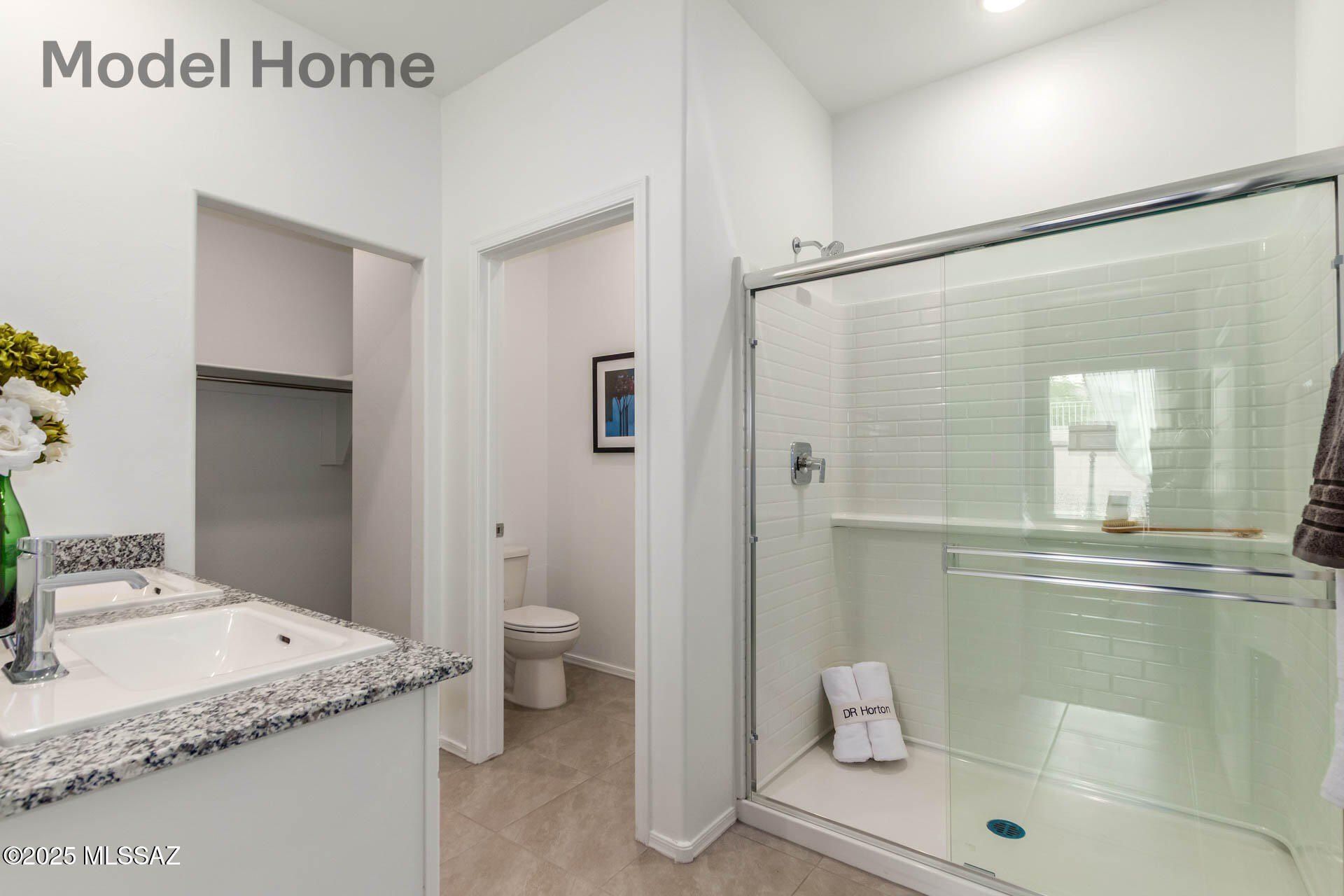 10118 N Camperi Lane. Marana, AZ 85653