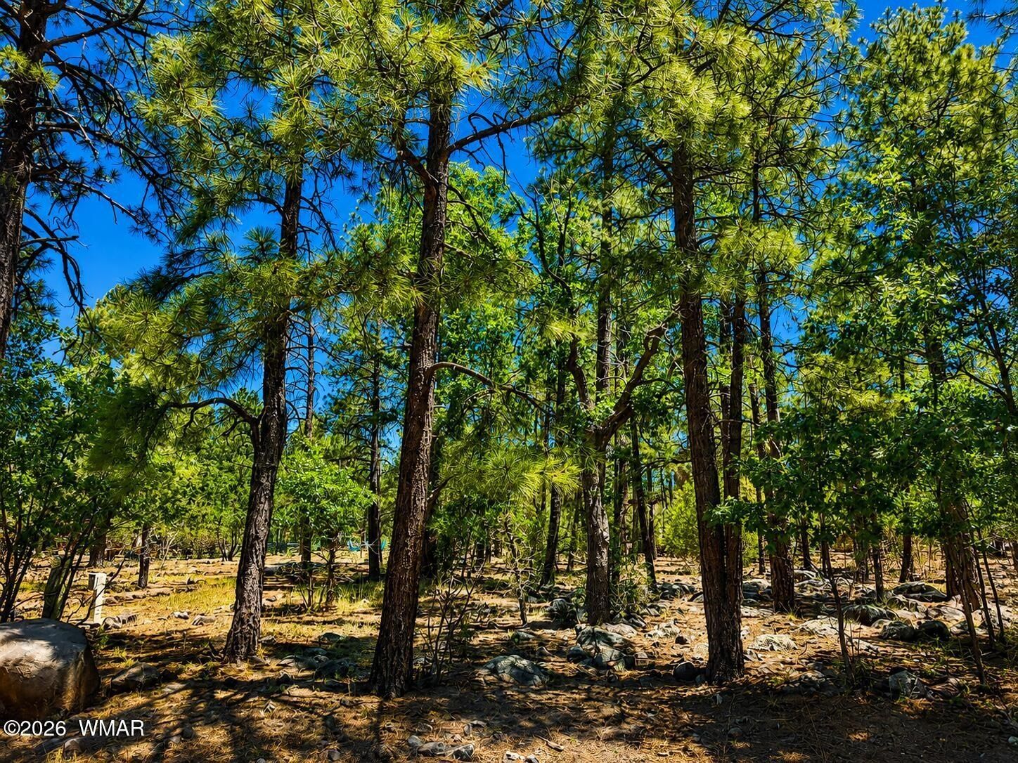 Lakeside, AZ 85929