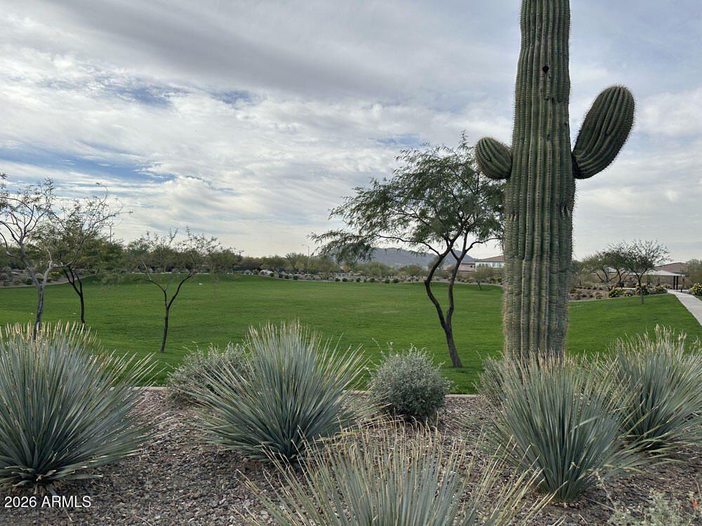 7930 W Desert Spoon Drive. Peoria, AZ 85383