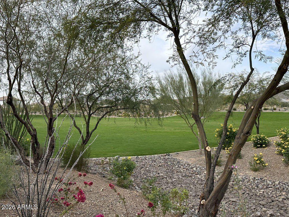 7912 W Desert Spoon Drive. Peoria, AZ 85383