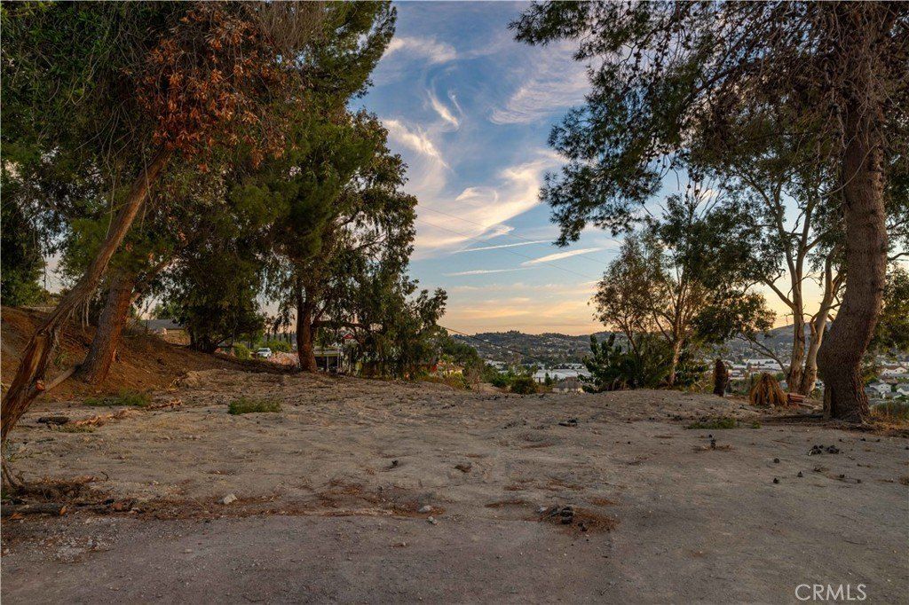 376 Camino De Teodoro. Walnut, CA 91789