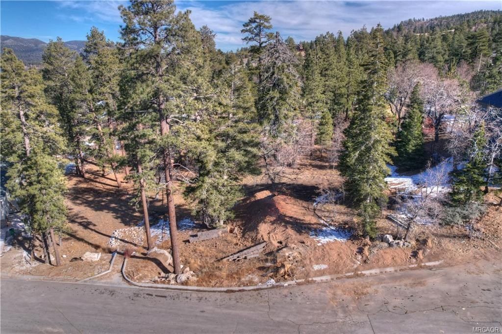 859 Pine Meadow Court. Big Bear Lake, CA 92315
