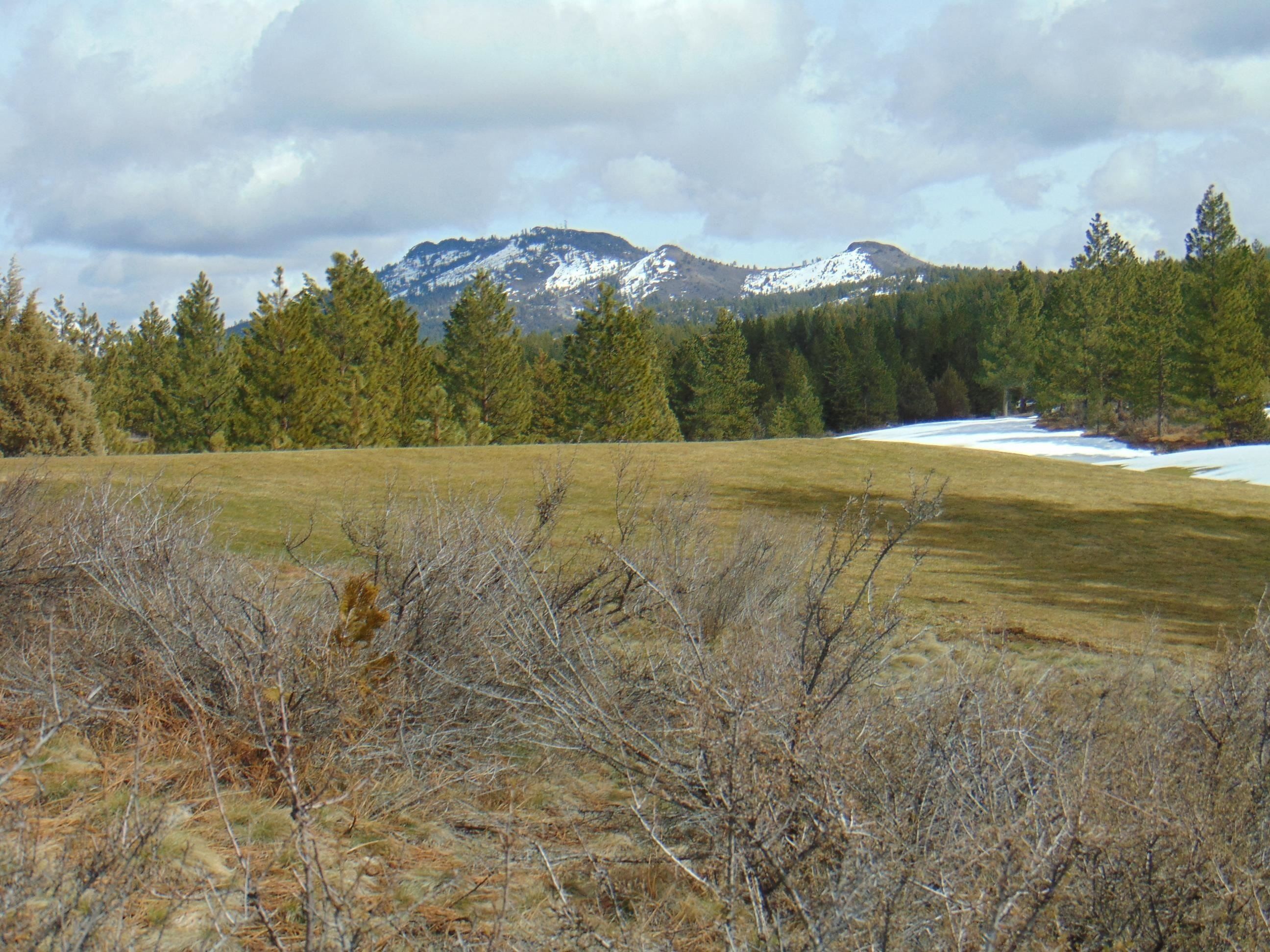 1403 Great Spirit Unit 260. Portola, CA 96122