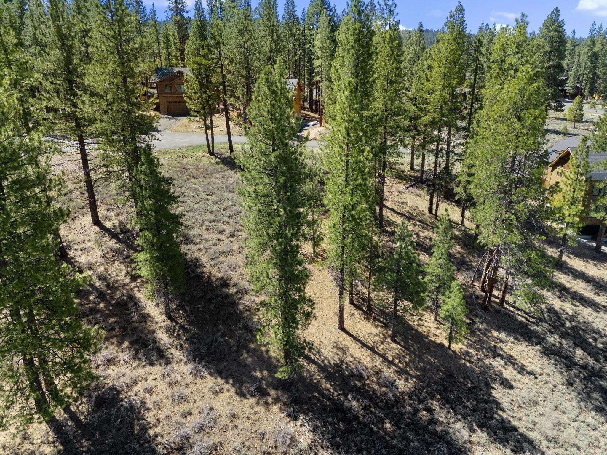 10668 Winchester Court. Truckee, CA 96161