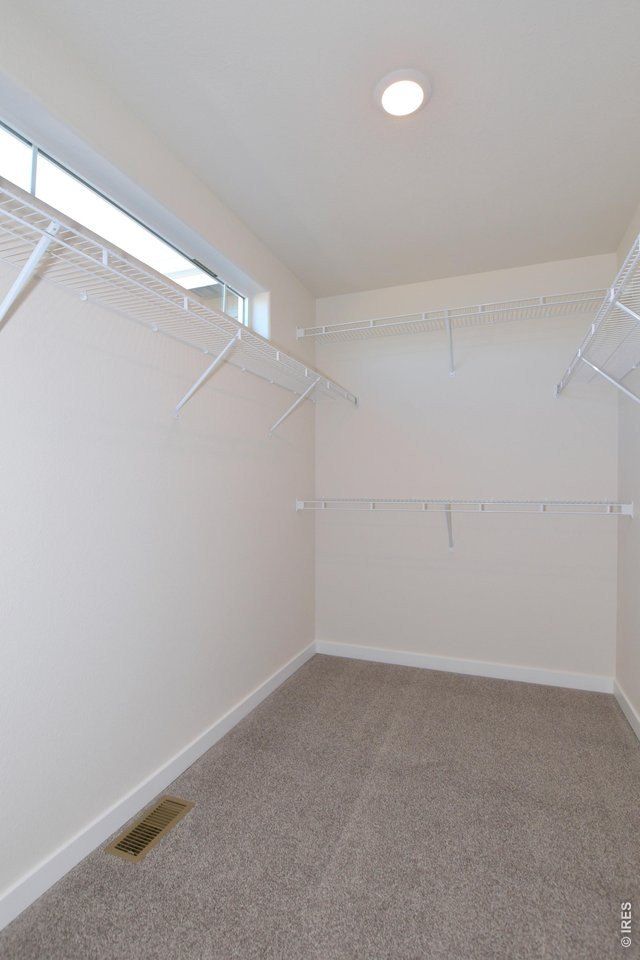 1181 Crown Sparrow St. Johnstown, CO 80534