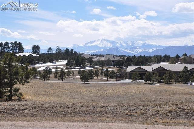 16452 Timber Meadow Drive. Colorado Springs, CO 80908