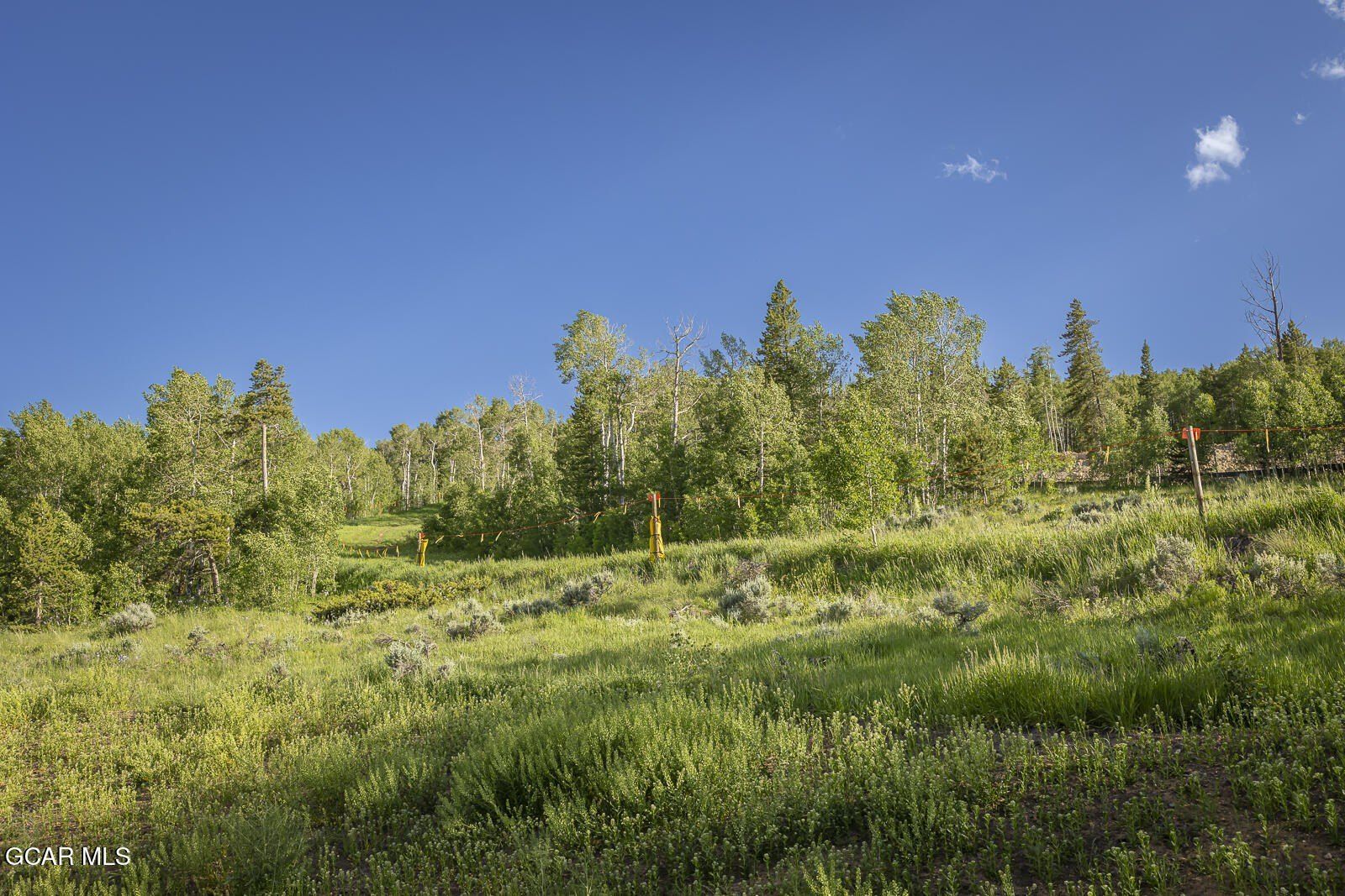 142 Saddle Mountain Camp Road. Granby, CO 80446